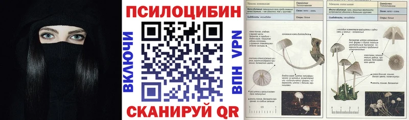 Псилоцибиновые грибы Psilocybine cubensis  Миньяр 